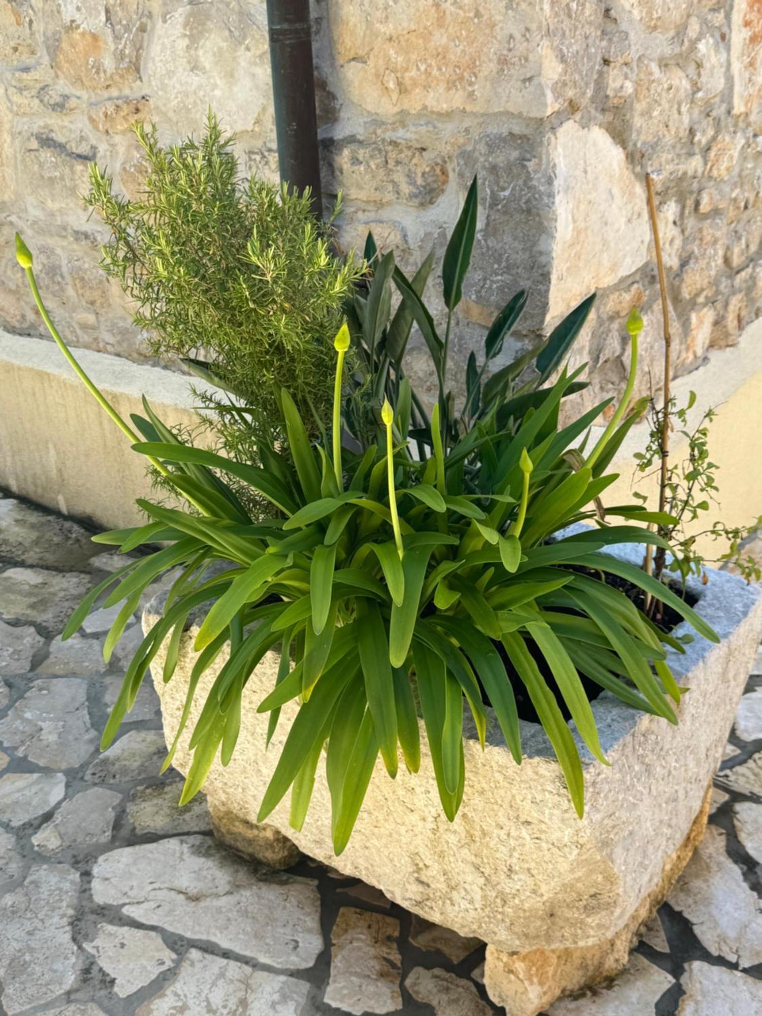 Mediterranes Ferienhaus M. Terrasse Veli Lošinj Dış mekan fotoğraf